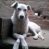 christopher28_wsm