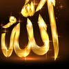user1457971358133