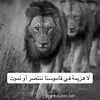 user8884608332228