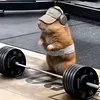 dk_6148
