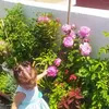 roeya.fikri
