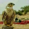 user4111591935614