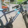 biciclist.17