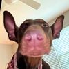roxsy._160