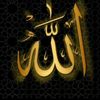 rafa.sadia47