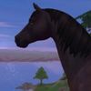 keilastarstable