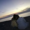 lily_31032