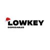 the.lowkeyyart