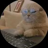 xhpxv211
