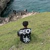 banz_1411
