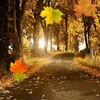 anbinh.88