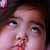 dindutt.t