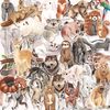 animal random