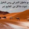 user7542626559886
