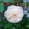 .nhi.phm3