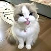me_luncy