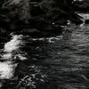 _wann016