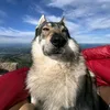 wazonemp5