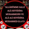 sulik9960