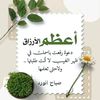user100179439397