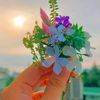 aestheticreyyan1