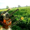 user9481815927070
