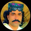 malgulzar7