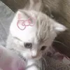 thuytien_8611
