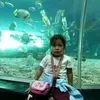 tiyah6623