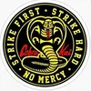 cobra_kai_fan_fr