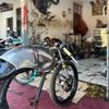 strya_42