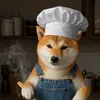 shibainu_no_maru