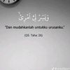 zidan2011.03