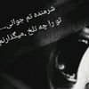 user82170997288000