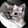 shumi.hossain7