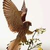 user1420076207031