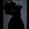 mohammad.rashwani8