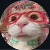 theyseemiarolling12