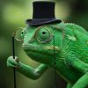 exquisite_chameleon