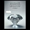 mahmad33537