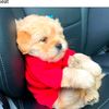 inno_638