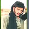 roidar.khan981