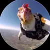 ghstzin7