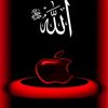 user27730584