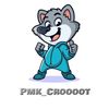 pmk_croooot⚡️