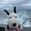 planet_alex_the_editor