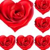user8816932418661