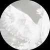 bowlover5