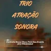 trio.atrao.sonora