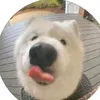 cuteyouknow